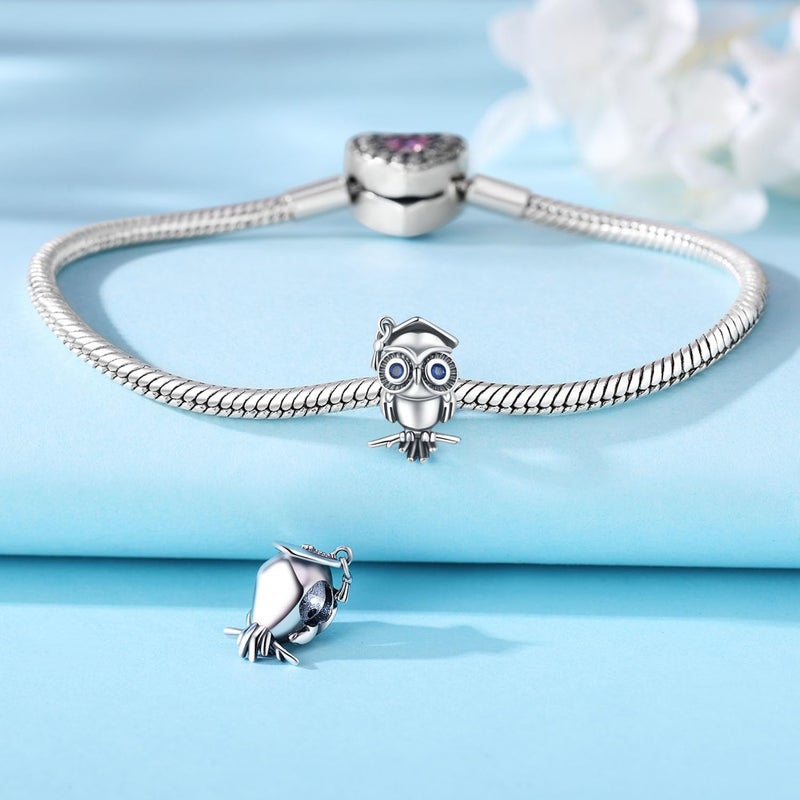 CYCUFF Store 925 Sterling Silver Charms Suitable for Charm Necklaces, Bracelet Pendants Beads Jewellery Gift for Women Family Friends - Image 1